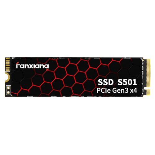 Fanxiang S501 256GB: ¿velocidad real en tu setup?