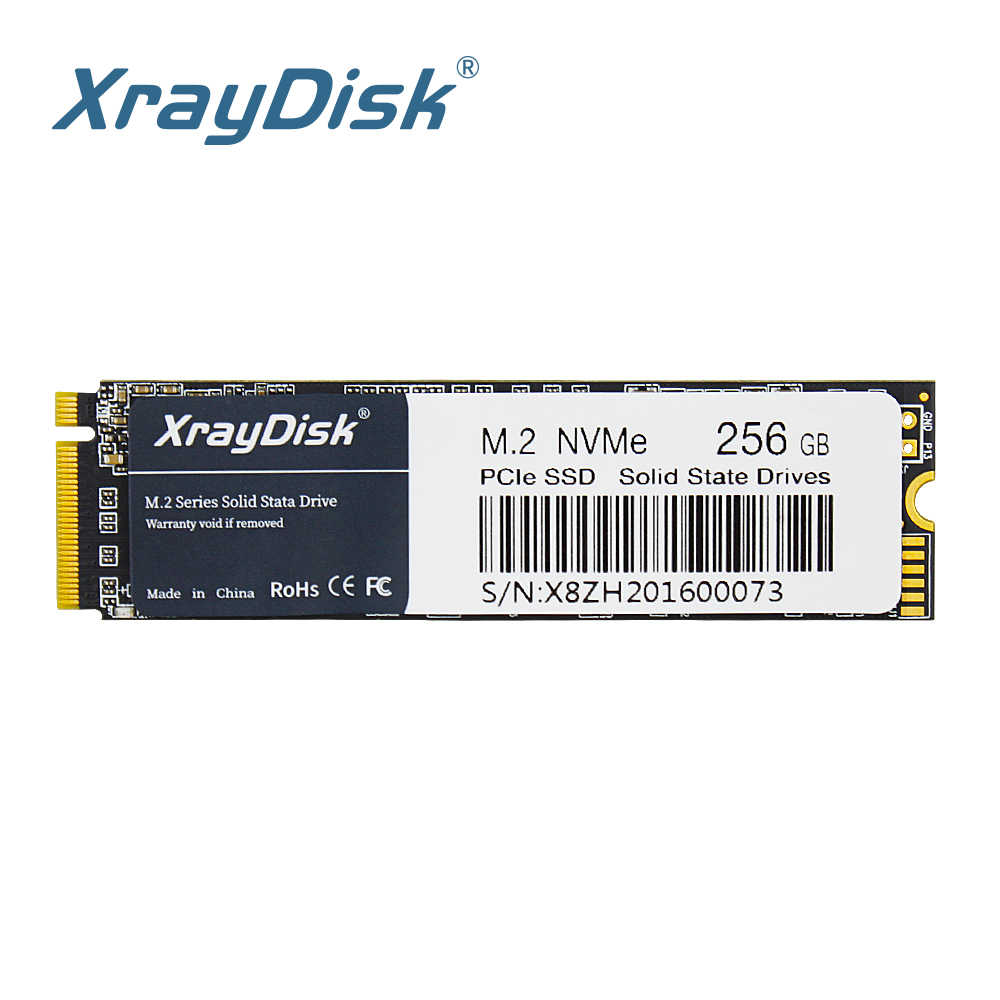 XrayDisk M.2 SSD M2 256gb