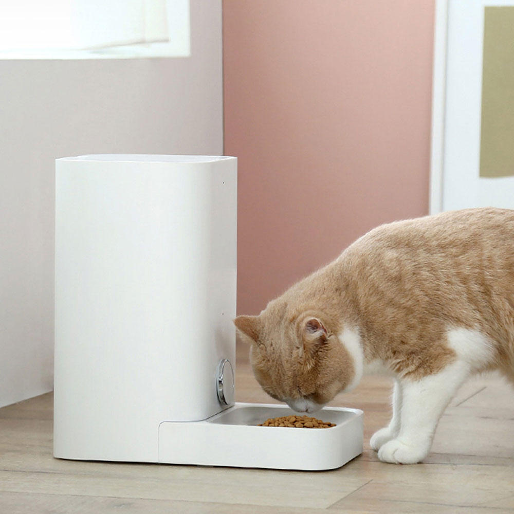 Smart Dog Cat Feeder Cat