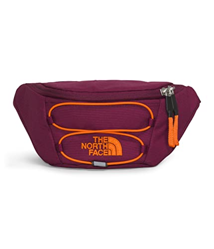 THE NORTH FACE Paquete lumbar