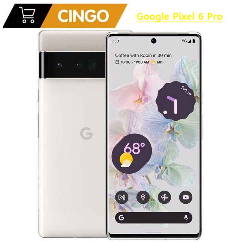 Google Pixel 6 Pro 5G