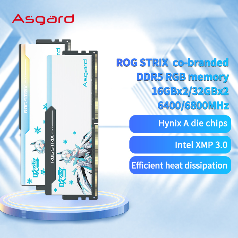 Asgard ddr5 ram 16GBx2 24GBx2