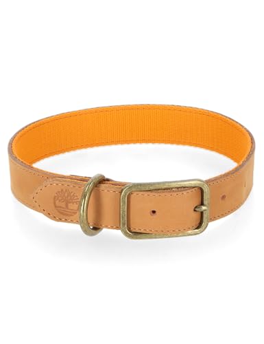 Un collar de cuero robusto y clásico para tu perro