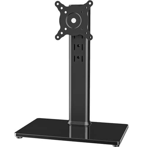 Single LCD Computer Monitor Free-Standing