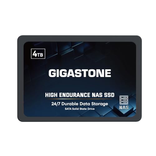 Gigastone ?NAS Certified? 4TB High