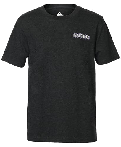 Quiksilver Boys\' Short Sleeve Logo