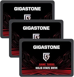 Gigastone Game Turbo SSD de