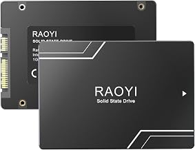 RAOYI 64GB SSD interno SATA